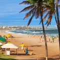 Imagem de Passagem Aérea Salvador - Dia do trabalho 2026